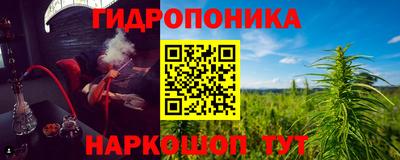 гидропоника Владимир