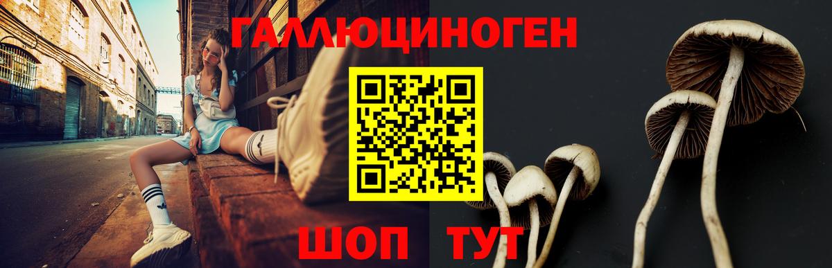 как найти закладки  Вход с VPN  Первоуральск  Галлюциногенные грибы Psilocybine cubensis 